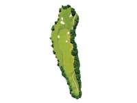 Hole Map